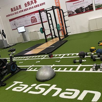 パイル高さ 19 mm のスポーツフィールド用耐紫外線人工芝、非充填施工