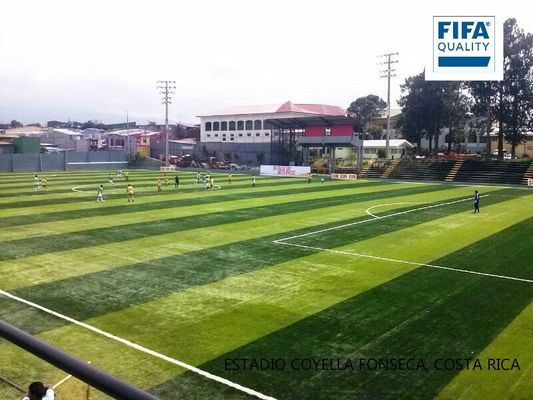 FIFA認定 55mm スタイルの高さ 高密度 人工芝 足球場 保守が少ない