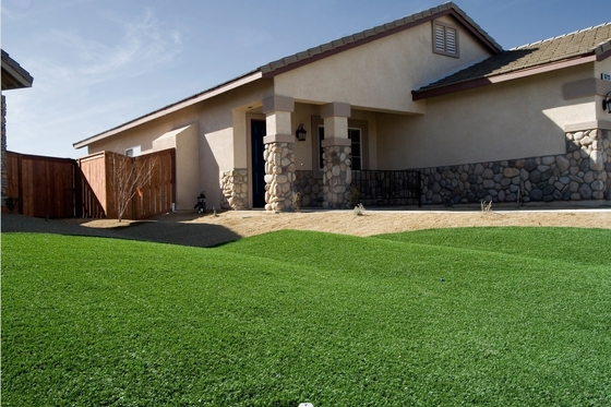 パーソナライズ可能なサッカー 人工草 12000 Dtex 低保養 ペット用 遊び場 屋外スポーツ