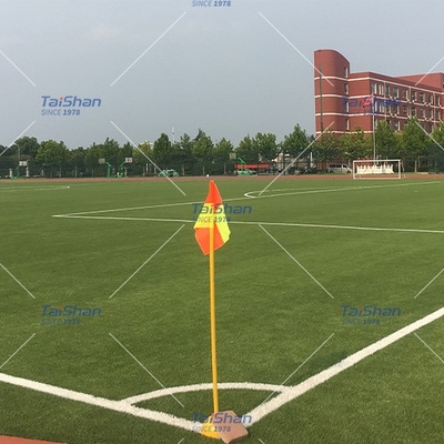 60mm FIFA認定 サッカーの人造芝 屋外スポーツ用 パーソナライズされた色付きのフィールド