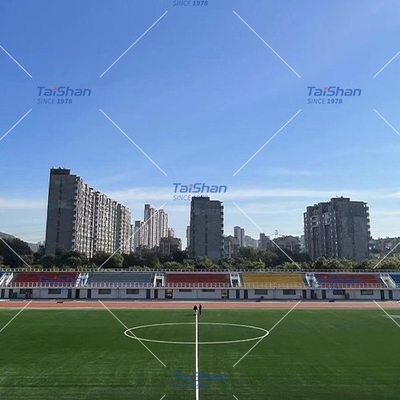 60mm FIFA認定 サッカーの人造芝 屋外スポーツ用 パーソナライズされた色付きのフィールド