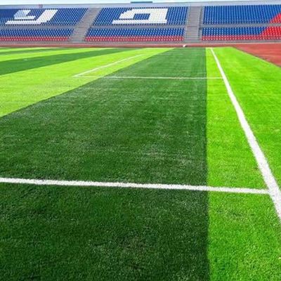 FIFA承認 紫外線耐性 50mm スタイルの高さ 高密度で保守が少ない サッカー人工草