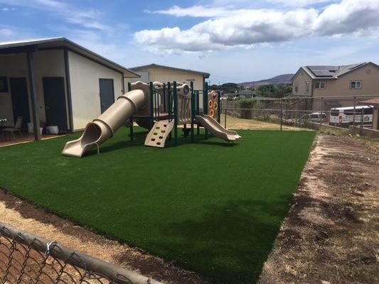 25mm 30mm 40mm 50mm Artificial Grass Carpet Garden Landscape Mat Decor Plastic Carpet  Lawn Artificial Turf