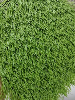 50mm スポーツ 人工芝 サッカー サッカー 野球 スポーツ スタジアム 遊び場 紫外線耐性 低保養