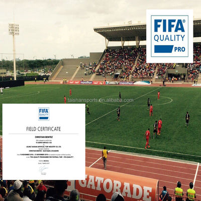 グリーンフットボール 人工芝生 5/8インチ 寸法 PP+LENO 裏付けとSBR ラテックスコーティング 粘着