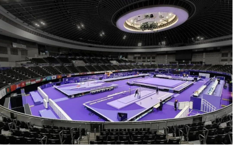 IWUF認定の武武マットとスポーツ用装備 複数スポーツ用 12000mm × 18000mm × 90mm サイズ