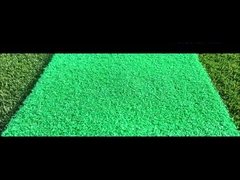 タイシャン ナイロン 新製品