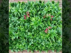 2025年 新台山 壁草のサプライヤー