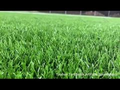 タイシャン新プロジェクト ベリーズ人工芝スポーツターフ