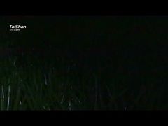 ロックシリーズ延長保証スポーツ人工芝